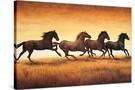 Stretched Canvas