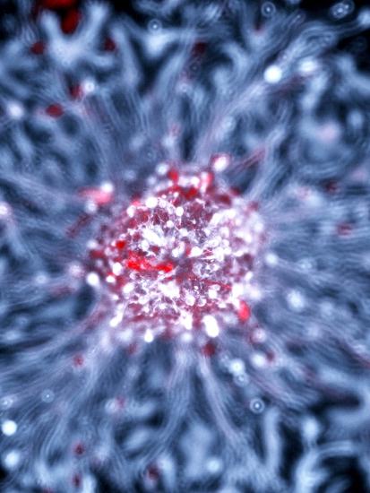 Photographic Print, , large