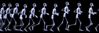 Human Skelegon Running, Radigraphy Sequence-riccardocova-Laminated Premium Giclee Print