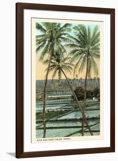 Rice and Taro Fields, Hawaii-null-Framed Art Print