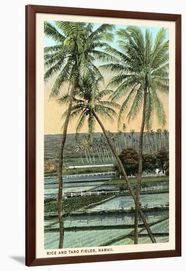 Rice and Taro Fields, Hawaii-null-Framed Art Print