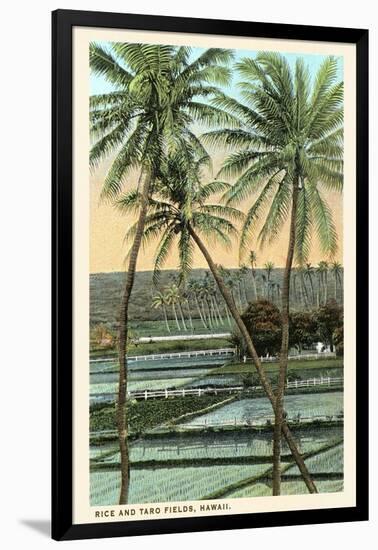 Rice and Taro Fields, Hawaii-null-Framed Art Print