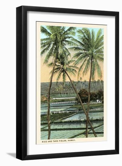 Rice and Taro Fields, Hawaii-null-Framed Art Print