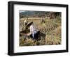 Rice Being Cut and Threshed, Guizhou Province, China-Occidor Ltd-Framed Photographic Print