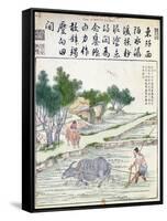 Rice Cultivation in China-null-Framed Stretched Canvas