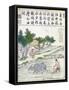 Rice Cultivation in China-null-Framed Stretched Canvas