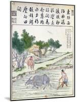 Rice Cultivation in China-null-Mounted Giclee Print