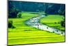 Rice Field and River, Ninhbinh, Vietnam Landscapes-John Bill-Mounted Photographic Print