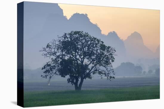 Rice-Field in Karstic Landscape, Hpa An, Kayin State (Karen State), Myanmar (Burma), Asia-Nathalie Cuvelier-Stretched Canvas