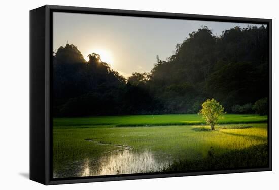 Rice-Field in Karstic Landscape, Hpa An, Kayin State (Karen State), Myanmar (Burma), Asia-Nathalie Cuvelier-Framed Stretched Canvas