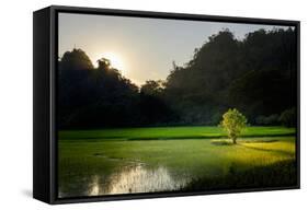 Rice-Field in Karstic Landscape, Hpa An, Kayin State (Karen State), Myanmar (Burma), Asia-Nathalie Cuvelier-Framed Stretched Canvas
