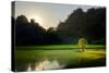 Rice-Field in Karstic Landscape, Hpa An, Kayin State (Karen State), Myanmar (Burma), Asia-Nathalie Cuvelier-Stretched Canvas