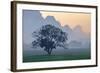 Rice-Field in Karstic Landscape, Hpa An, Kayin State (Karen State), Myanmar (Burma), Asia-Nathalie Cuvelier-Framed Photographic Print