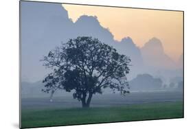 Rice-Field in Karstic Landscape, Hpa An, Kayin State (Karen State), Myanmar (Burma), Asia-Nathalie Cuvelier-Mounted Photographic Print