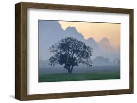 Rice-Field in Karstic Landscape, Hpa An, Kayin State (Karen State), Myanmar (Burma), Asia-Nathalie Cuvelier-Framed Photographic Print