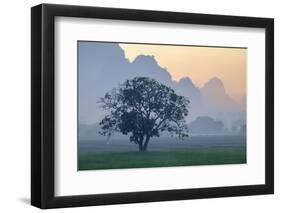 Rice-Field in Karstic Landscape, Hpa An, Kayin State (Karen State), Myanmar (Burma), Asia-Nathalie Cuvelier-Framed Photographic Print