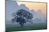 Rice-Field in Karstic Landscape, Hpa An, Kayin State (Karen State), Myanmar (Burma), Asia-Nathalie Cuvelier-Mounted Photographic Print