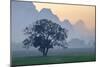 Rice-Field in Karstic Landscape, Hpa An, Kayin State (Karen State), Myanmar (Burma), Asia-Nathalie Cuvelier-Mounted Photographic Print