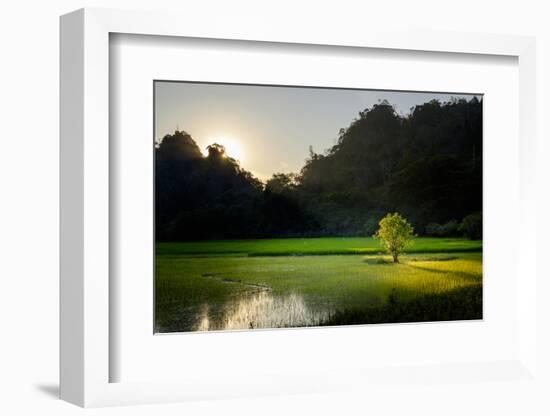 Rice-Field in Karstic Landscape, Hpa An, Kayin State (Karen State), Myanmar (Burma), Asia-Nathalie Cuvelier-Framed Photographic Print