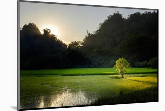 Rice-Field in Karstic Landscape, Hpa An, Kayin State (Karen State), Myanmar (Burma), Asia-Nathalie Cuvelier-Mounted Photographic Print