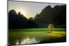 Rice-Field in Karstic Landscape, Hpa An, Kayin State (Karen State), Myanmar (Burma), Asia-Nathalie Cuvelier-Mounted Photographic Print