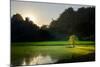 Rice-Field in Karstic Landscape, Hpa An, Kayin State (Karen State), Myanmar (Burma), Asia-Nathalie Cuvelier-Mounted Photographic Print