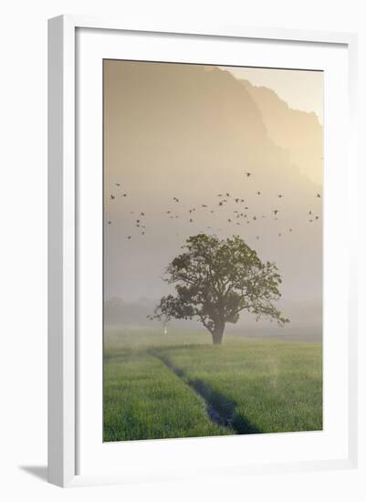 Rice-Field in Karstic Landscape, Hpa An, Kayin State (Karen State), Myanmar (Burma), Asia-Nathalie Cuvelier-Framed Photographic Print