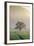 Rice-Field in Karstic Landscape, Hpa An, Kayin State (Karen State), Myanmar (Burma), Asia-Nathalie Cuvelier-Framed Photographic Print