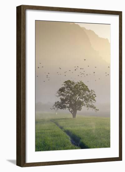 Rice-Field in Karstic Landscape, Hpa An, Kayin State (Karen State), Myanmar (Burma), Asia-Nathalie Cuvelier-Framed Photographic Print