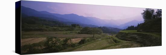 Rice Field, Japan-null-Stretched Canvas