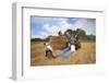 Rice field, Lao farmers harvesting rice in rural landscape, Laos-Godong-Framed Photographic Print