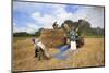 Rice field, Lao farmers harvesting rice in rural landscape, Laos-Godong-Mounted Photographic Print