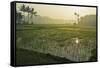 Rice Field, Near Borobodur, Kedu Plain, Java, Indonesia, Southeast Asia, Asia-Jochen Schlenker-Framed Stretched Canvas