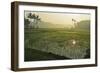 Rice Field, Near Borobodur, Kedu Plain, Java, Indonesia, Southeast Asia, Asia-Jochen Schlenker-Framed Photographic Print