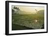 Rice Field, Near Borobodur, Kedu Plain, Java, Indonesia, Southeast Asia, Asia-Jochen Schlenker-Framed Photographic Print