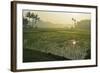 Rice Field, Near Borobodur, Kedu Plain, Java, Indonesia, Southeast Asia, Asia-Jochen Schlenker-Framed Photographic Print