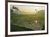 Rice Field, Near Borobodur, Kedu Plain, Java, Indonesia, Southeast Asia, Asia-Jochen Schlenker-Framed Photographic Print