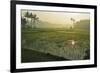 Rice Field, Near Borobodur, Kedu Plain, Java, Indonesia, Southeast Asia, Asia-Jochen Schlenker-Framed Photographic Print