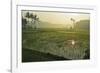 Rice Field, Near Borobodur, Kedu Plain, Java, Indonesia, Southeast Asia, Asia-Jochen Schlenker-Framed Photographic Print