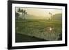 Rice Field, Near Borobodur, Kedu Plain, Java, Indonesia, Southeast Asia, Asia-Jochen Schlenker-Framed Photographic Print