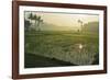 Rice Field, Near Borobodur, Kedu Plain, Java, Indonesia, Southeast Asia, Asia-Jochen Schlenker-Framed Photographic Print