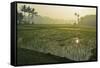 Rice Field, Near Borobodur, Kedu Plain, Java, Indonesia, Southeast Asia, Asia-Jochen Schlenker-Framed Stretched Canvas