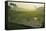 Rice Field, Near Borobodur, Kedu Plain, Java, Indonesia, Southeast Asia, Asia-Jochen Schlenker-Framed Stretched Canvas