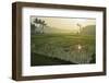 Rice Field, Near Borobodur, Kedu Plain, Java, Indonesia, Southeast Asia, Asia-Jochen Schlenker-Framed Photographic Print