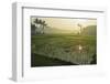 Rice Field, Near Borobodur, Kedu Plain, Java, Indonesia, Southeast Asia, Asia-Jochen Schlenker-Framed Photographic Print