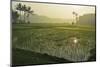 Rice Field, Near Borobodur, Kedu Plain, Java, Indonesia, Southeast Asia, Asia-Jochen Schlenker-Mounted Photographic Print