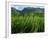 Rice Field Near Sapa, Sapa, Vietnam, Indochina, Southeast Asia, Asia-Godong-Framed Photographic Print