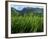 Rice Field Near Sapa, Sapa, Vietnam, Indochina, Southeast Asia, Asia-Godong-Framed Photographic Print