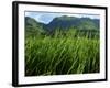 Rice Field Near Sapa, Sapa, Vietnam, Indochina, Southeast Asia, Asia-Godong-Framed Photographic Print