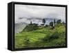 Rice Fields and Terraces Spread Out in All Areas Between the Mountains, Bhutan-Tom Norring-Framed Stretched Canvas